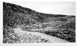 NM029020.jpg