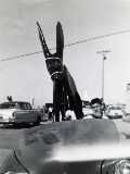 NM039460.jpg