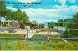 NM075000.jpg