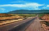 NM077150.jpg