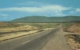 NM078300.jpg