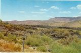 NM080675.jpg