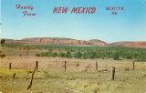 NM084900.jpg