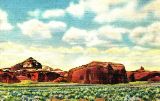 NM085000.jpg