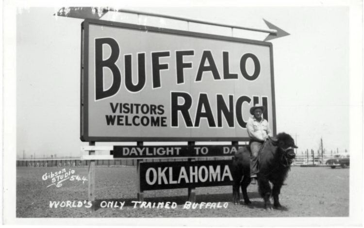 OK009400.jpg