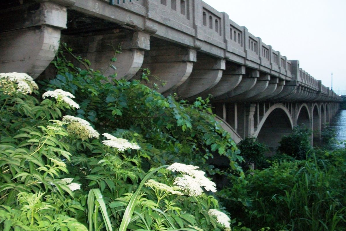 OK039000.jpg