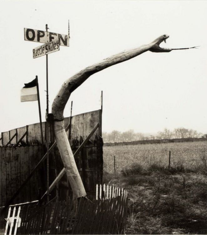 OK096750.jpg
