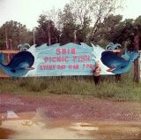 OK024500.jpg