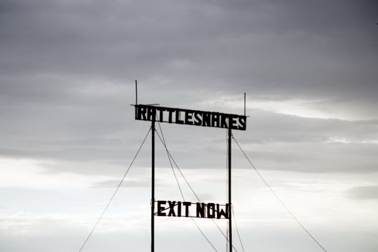 TX013905.jpg