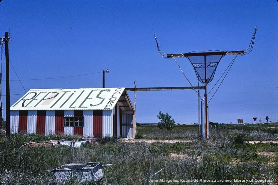 TX016725.jpg