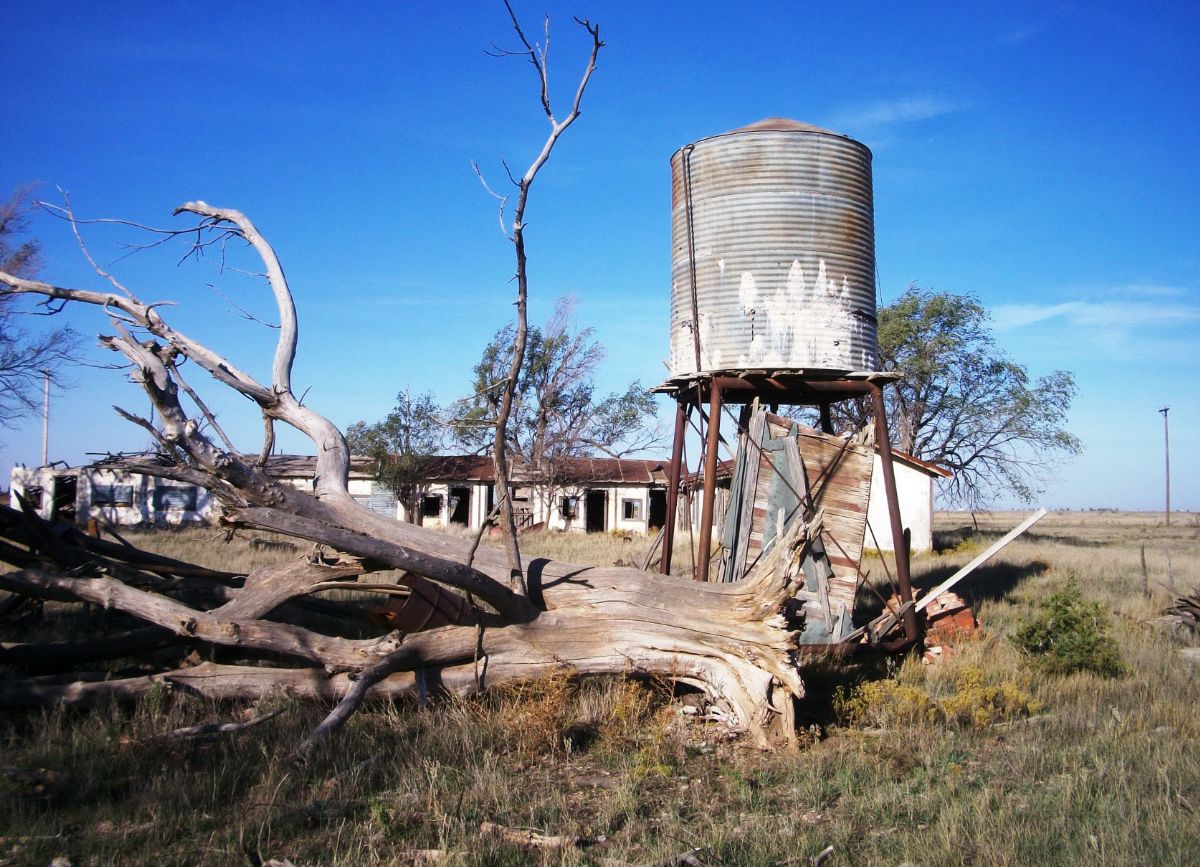 TX017301.jpg