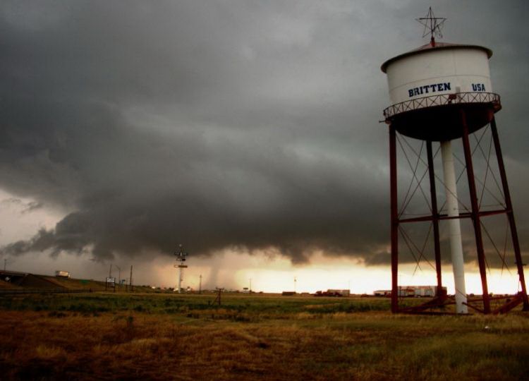 TX017600.jpg