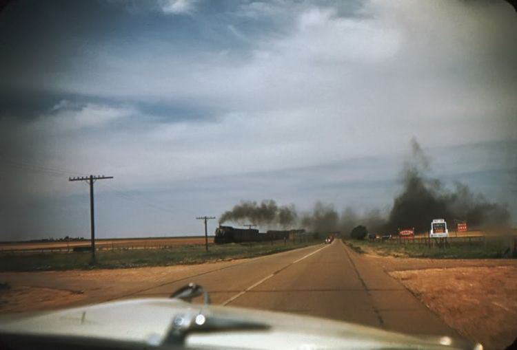 TX017604.jpg