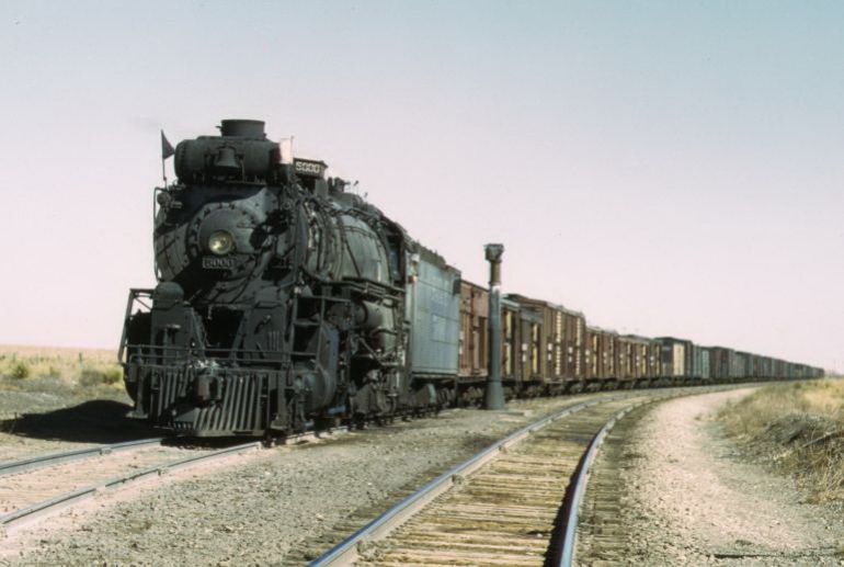 TX068909.jpg