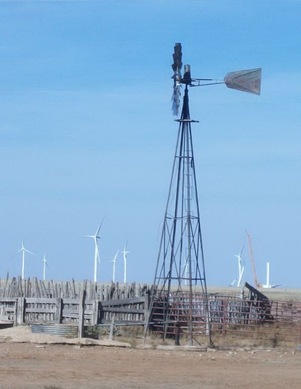 TX087348.jpg