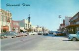 TX004310.jpg
