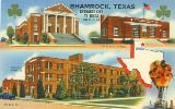 TX006900.jpg