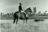 TX067295.jpg