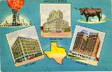 TX068310.jpg