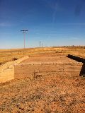 TX083975.jpg