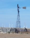 TX087348.jpg